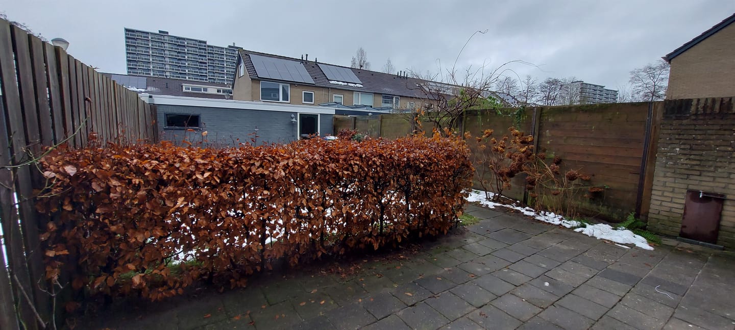 Foto 20 van Bergschot 320