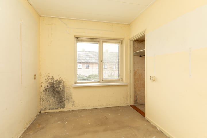 Foto 10 van Teunenmijns 24