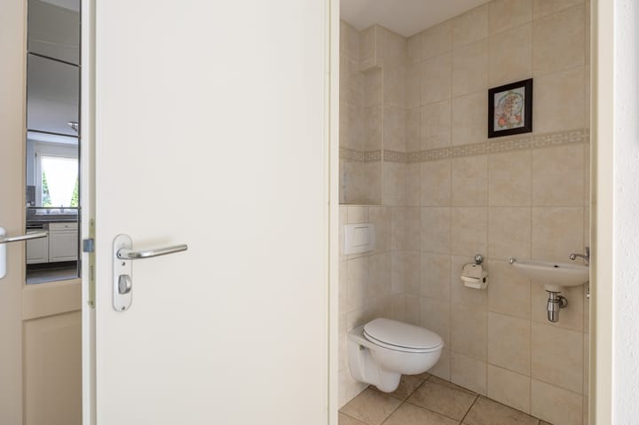 Foto 6 van Fluitekruid 50