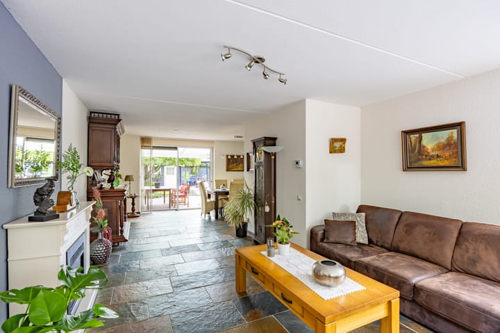 Foto 8 van Fluitekruid 50