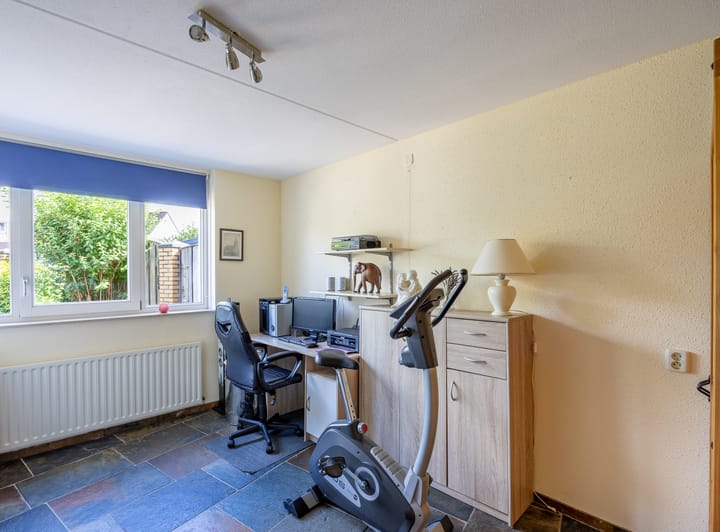 Foto 15 van Fluitekruid 50