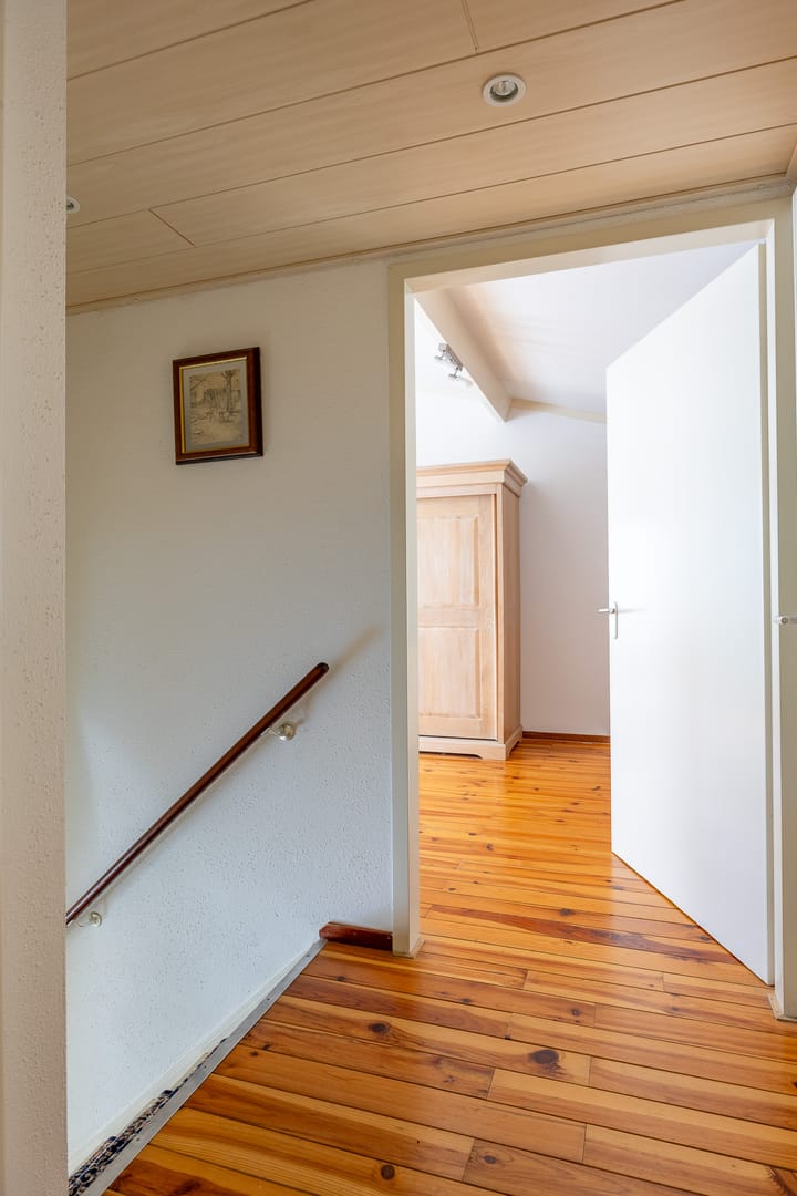 Foto 17 van Fluitekruid 50