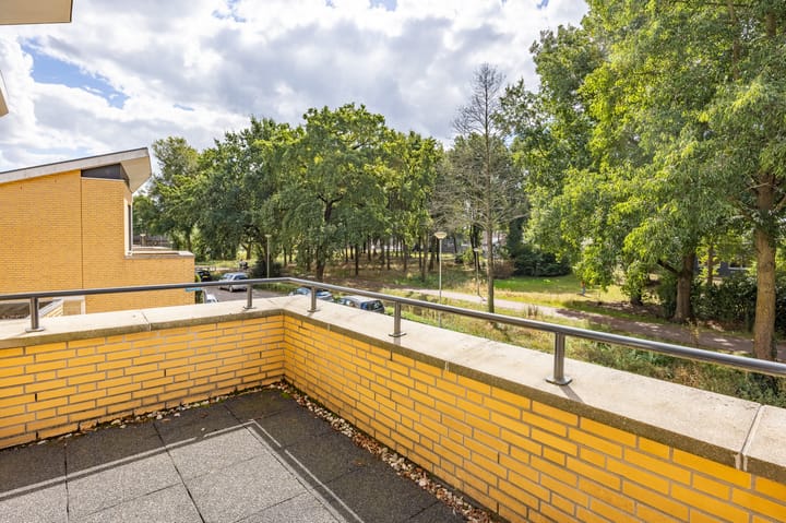 Foto 22 van Fluitekruid 50