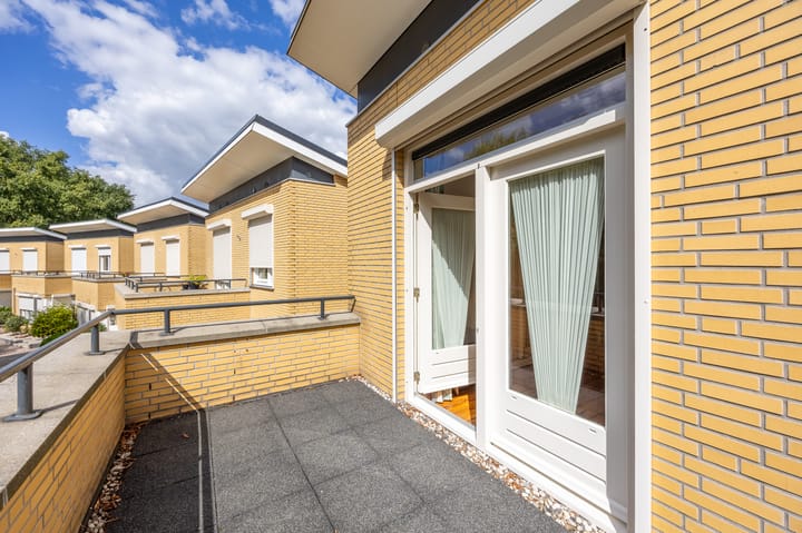 Foto 23 van Fluitekruid 50