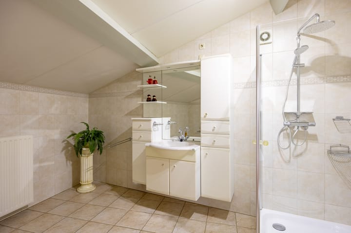 Foto 24 van Fluitekruid 50