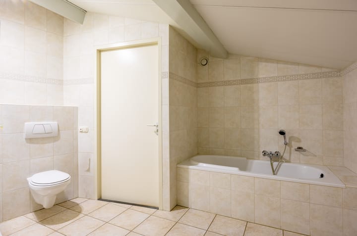 Foto 25 van Fluitekruid 50