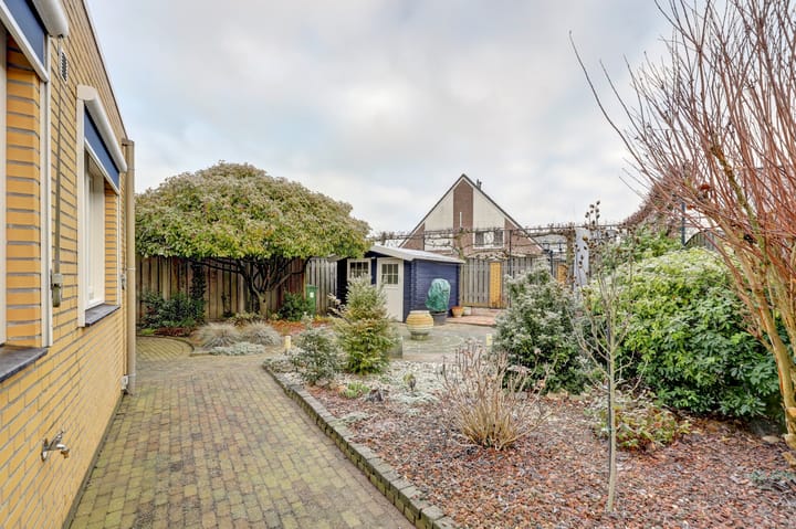 Foto 26 van Fluitekruid 50