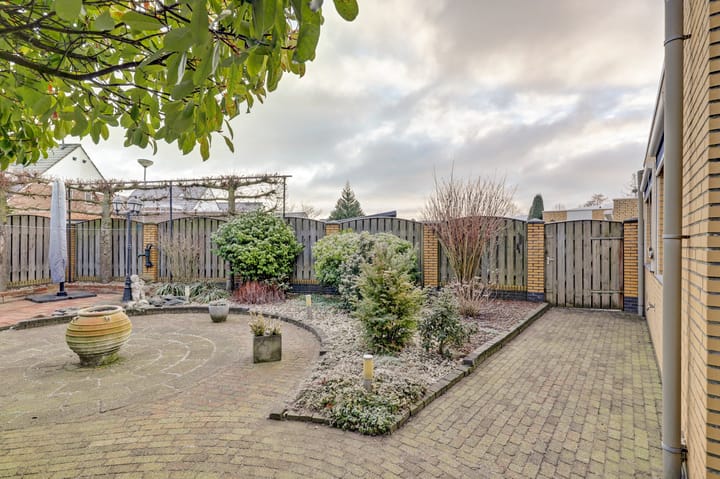 Foto 27 van Fluitekruid 50