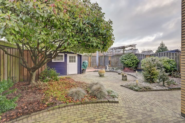 Foto 28 van Fluitekruid 50