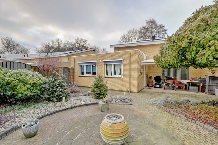 Foto 29 van Fluitekruid 50