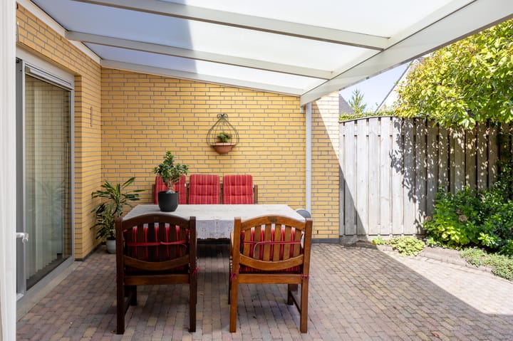 Foto 31 van Fluitekruid 50