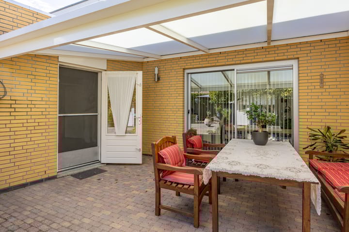 Foto 30 van Fluitekruid 50