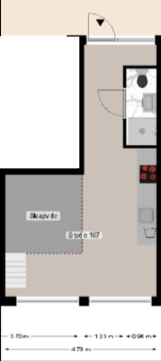 Foto 8 van Heinsiusstraat 107