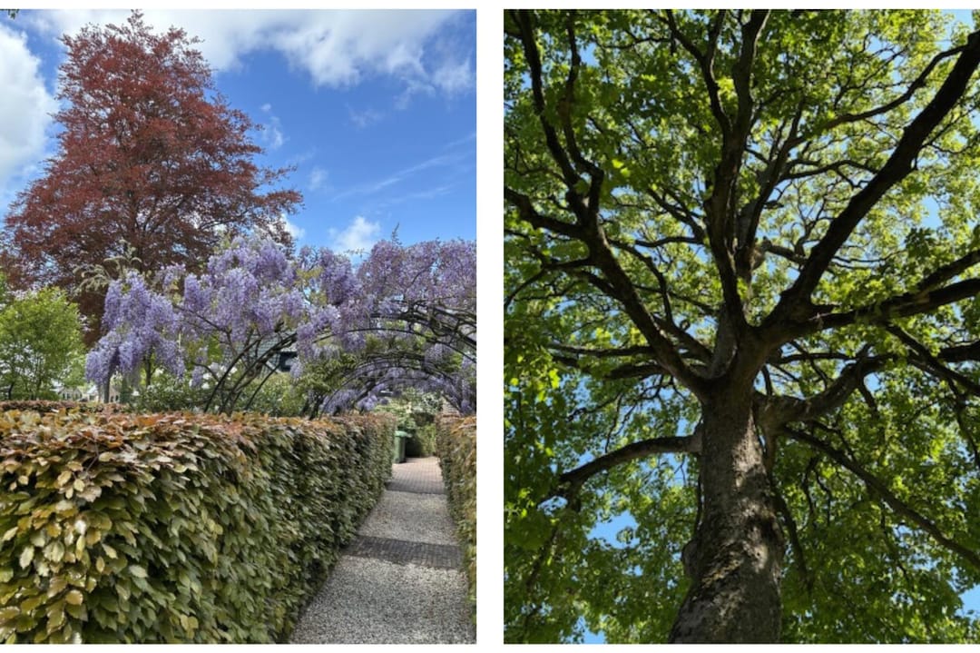 Foto 62 van Dorpsstraat 29