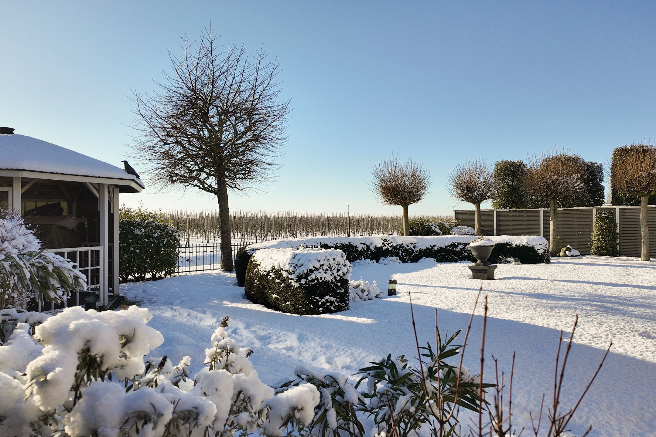 Photo 66 of Rondeel 55