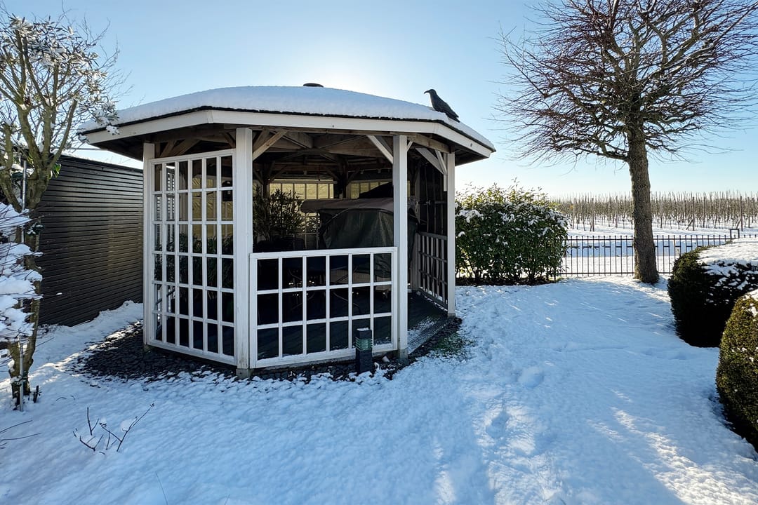 Photo 68 of Rondeel 55