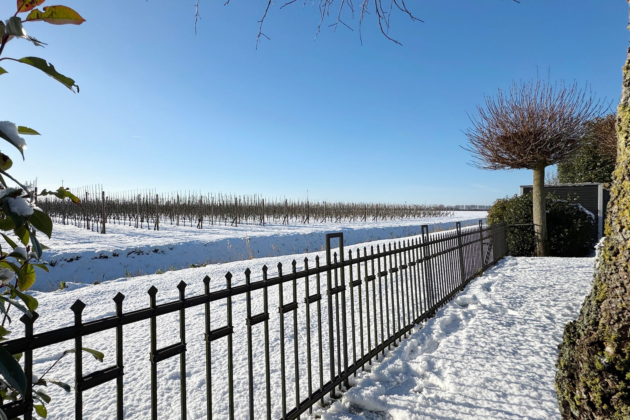 Photo 69 of Rondeel 55