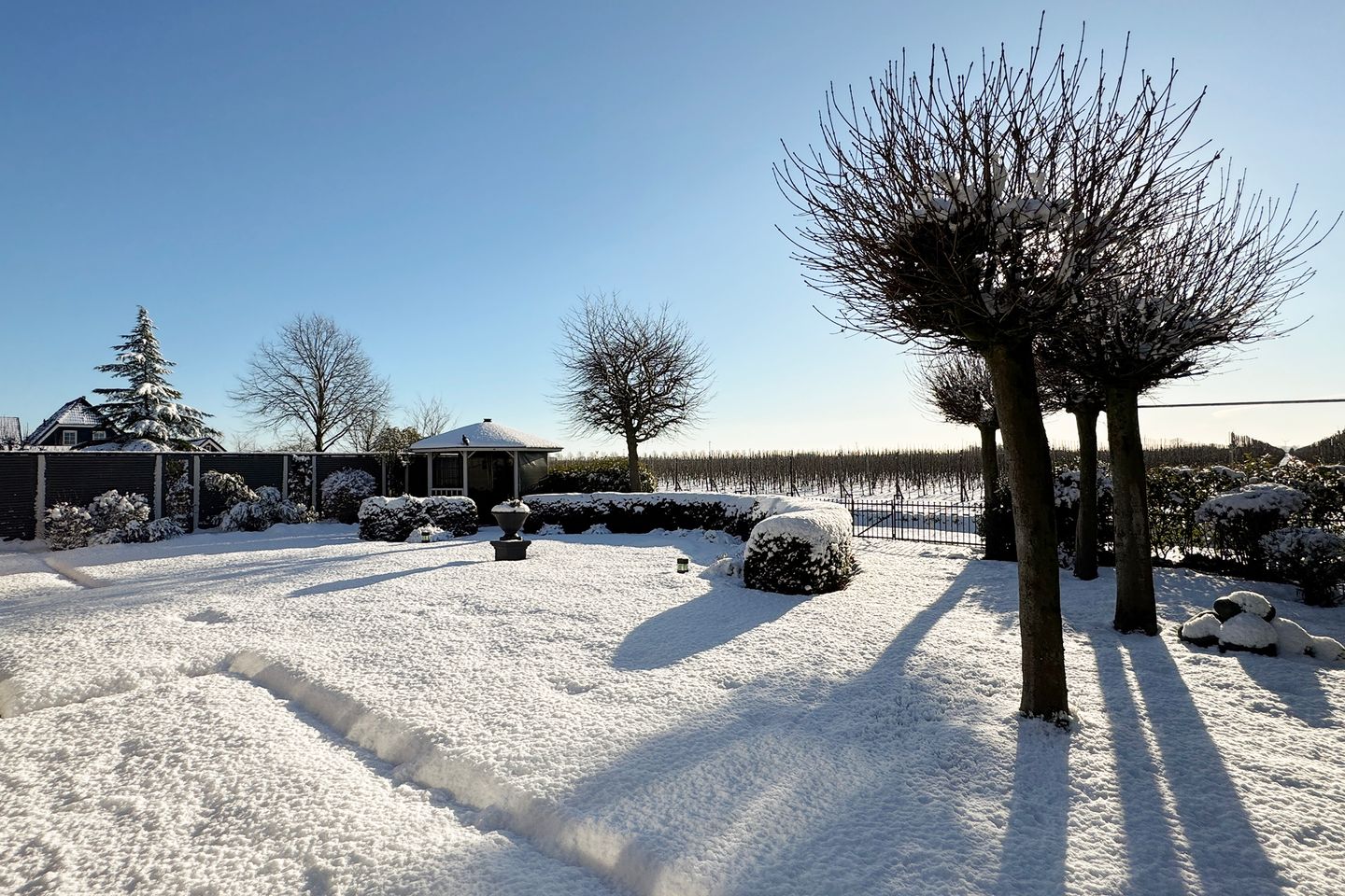 Photo 70 of Rondeel 55