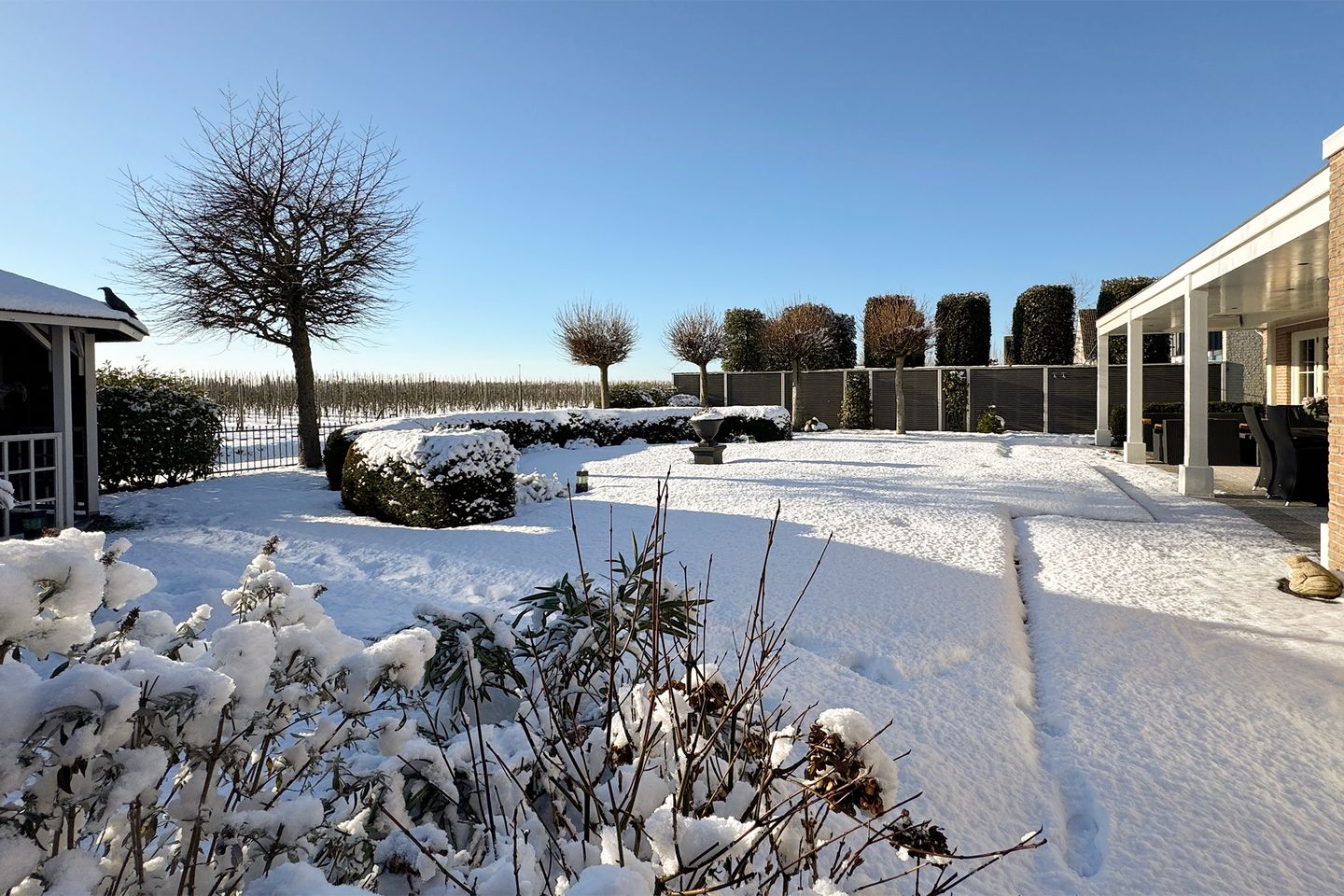 Photo 65 of Rondeel 55