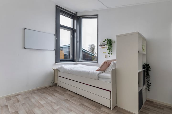 Foto 35 van De Skeakels 3