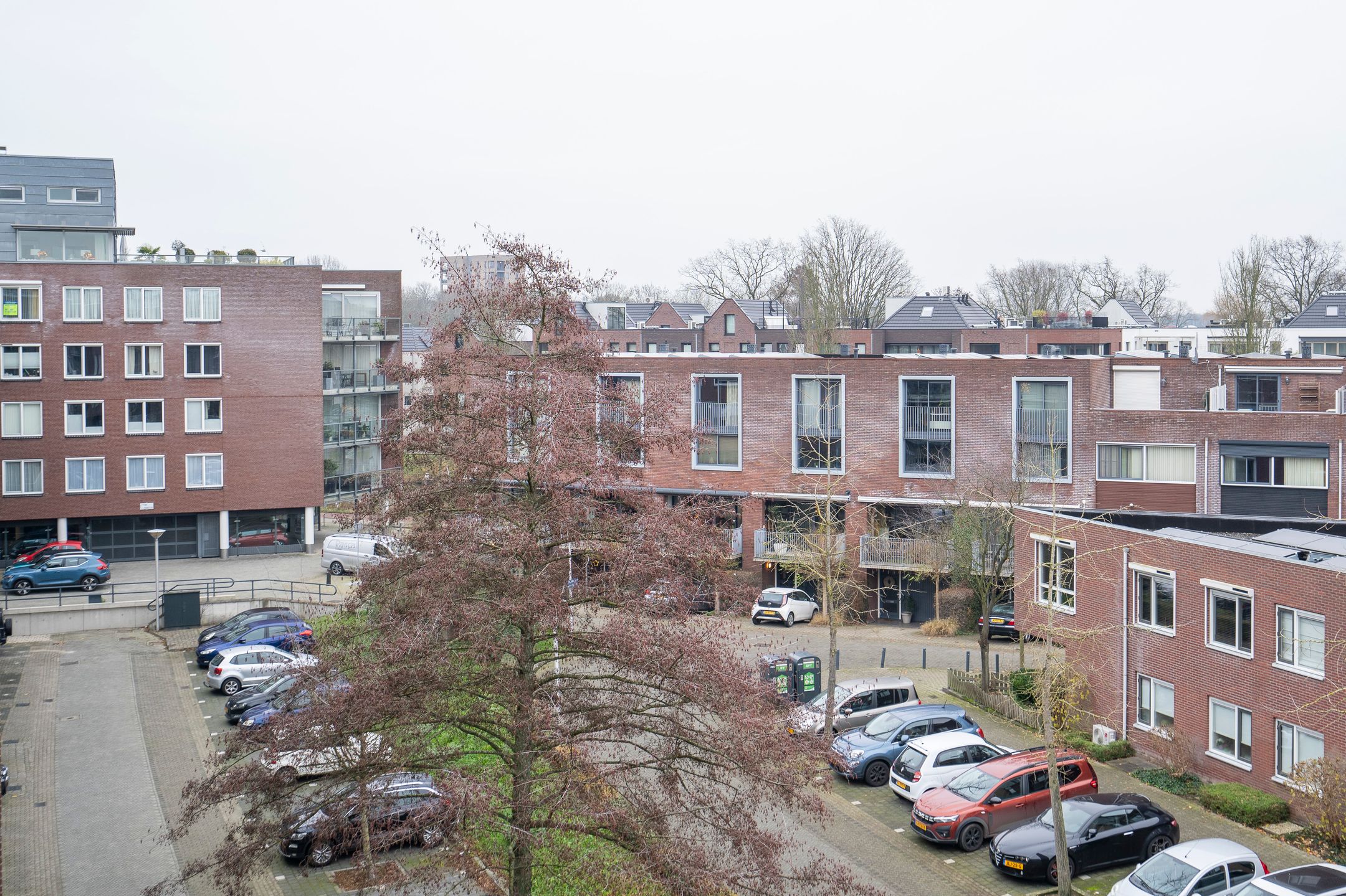 Foto 27 van Rijsenborch 99