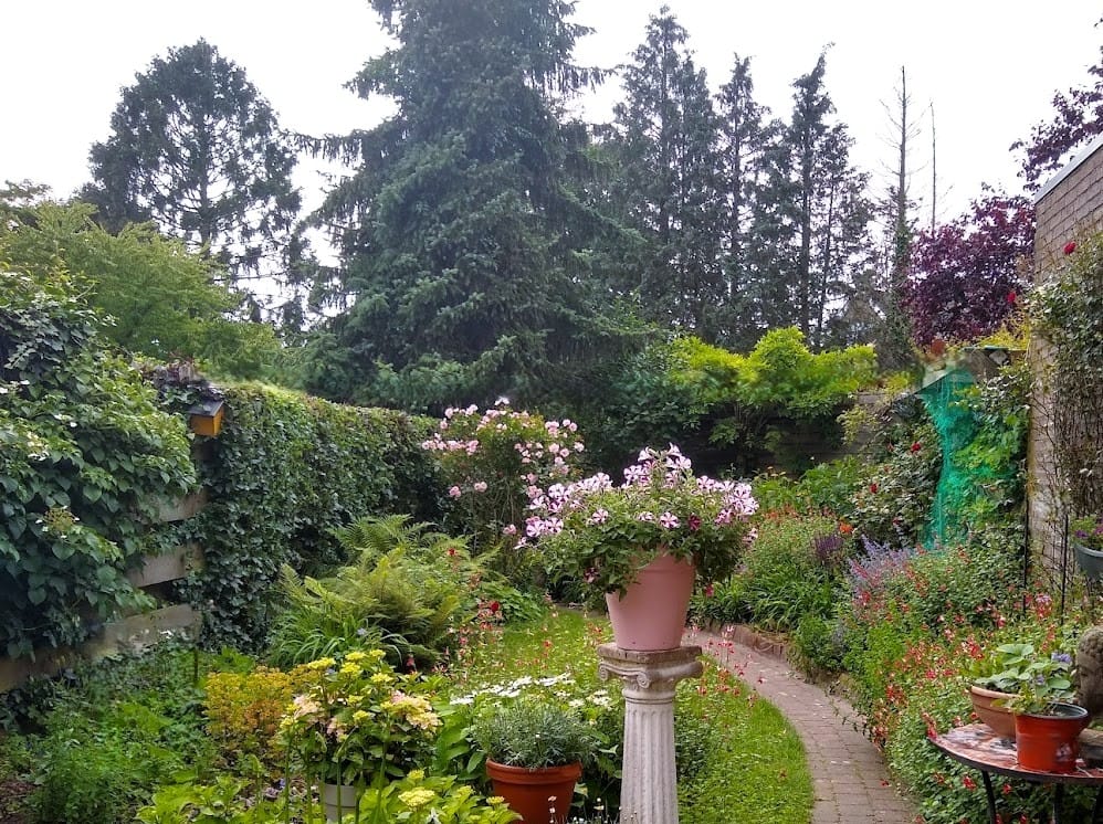 Foto 36 van Wim Beermanstraat 17