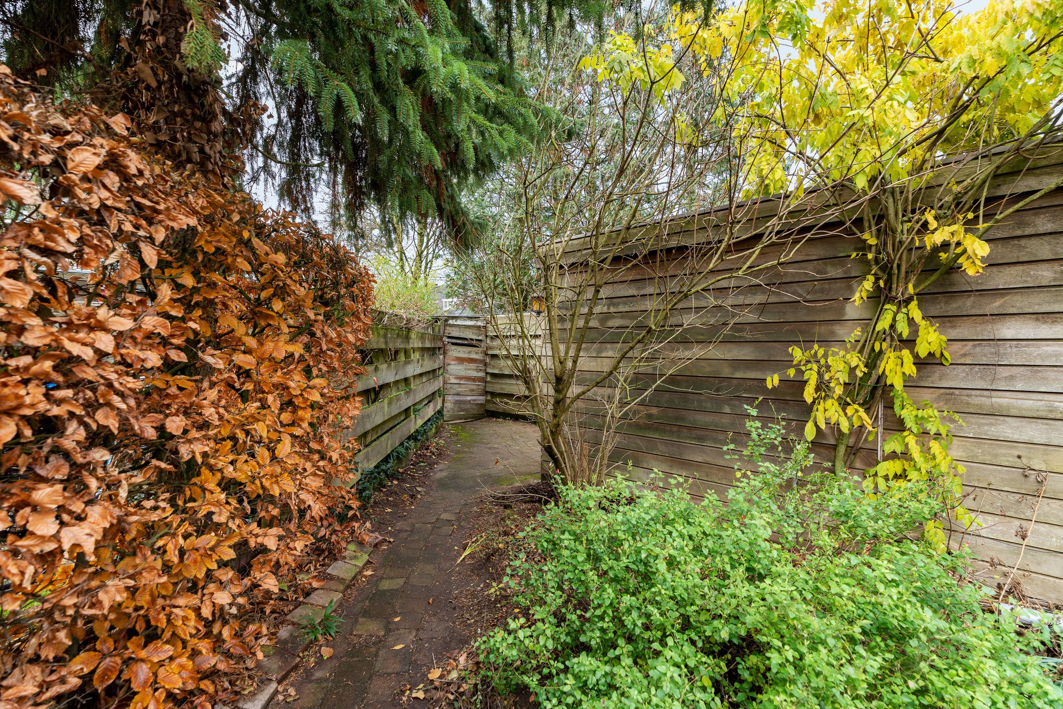 Foto 39 van Wim Beermanstraat 17