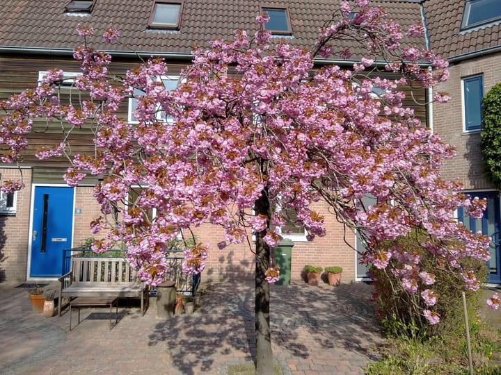 Foto 44 van Wim Beermanstraat 17