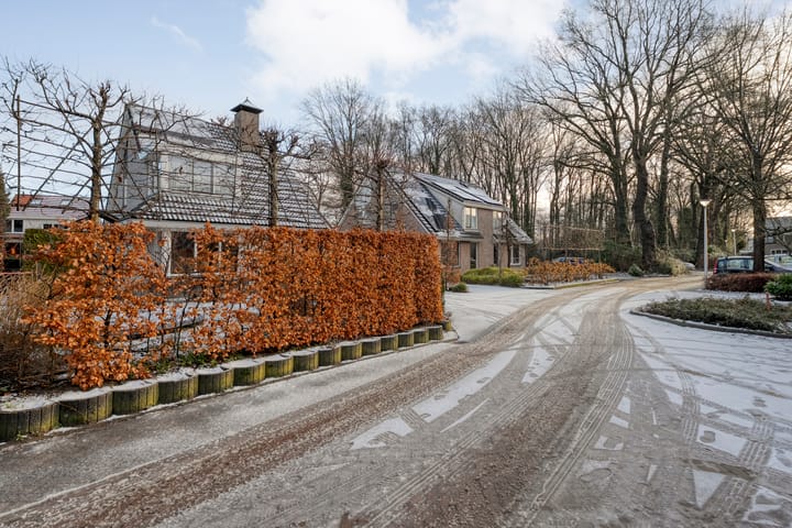 Foto 41 van Heemst 8-A