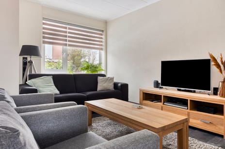 Paulus Potterstraat 3 secondary image