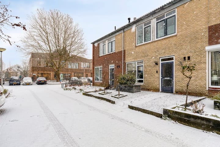 Photo 6 of Paulus Potterstraat 3