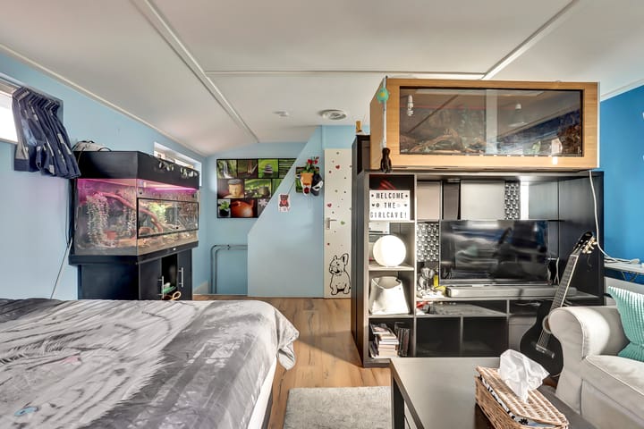 Foto 19 van Scholeksterhoek 1