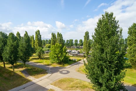 Paul Kleestraat 98 secondary image