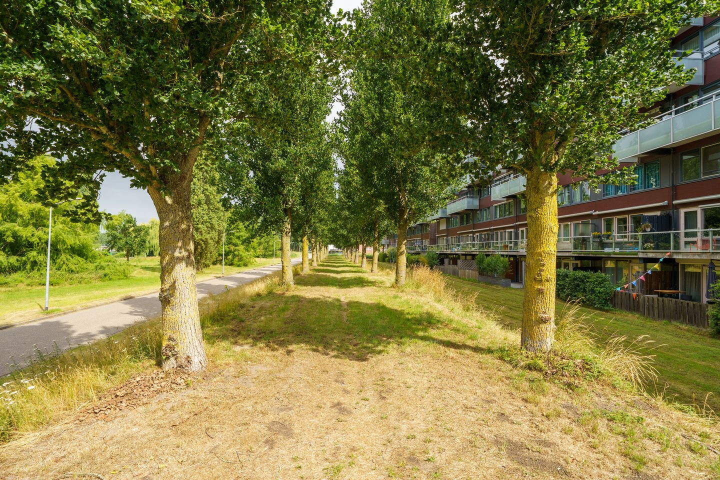 Photo 34 of Paul Kleestraat 98