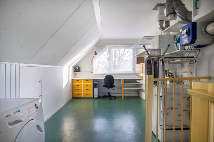 Foto 27 van Klingelbeek 13