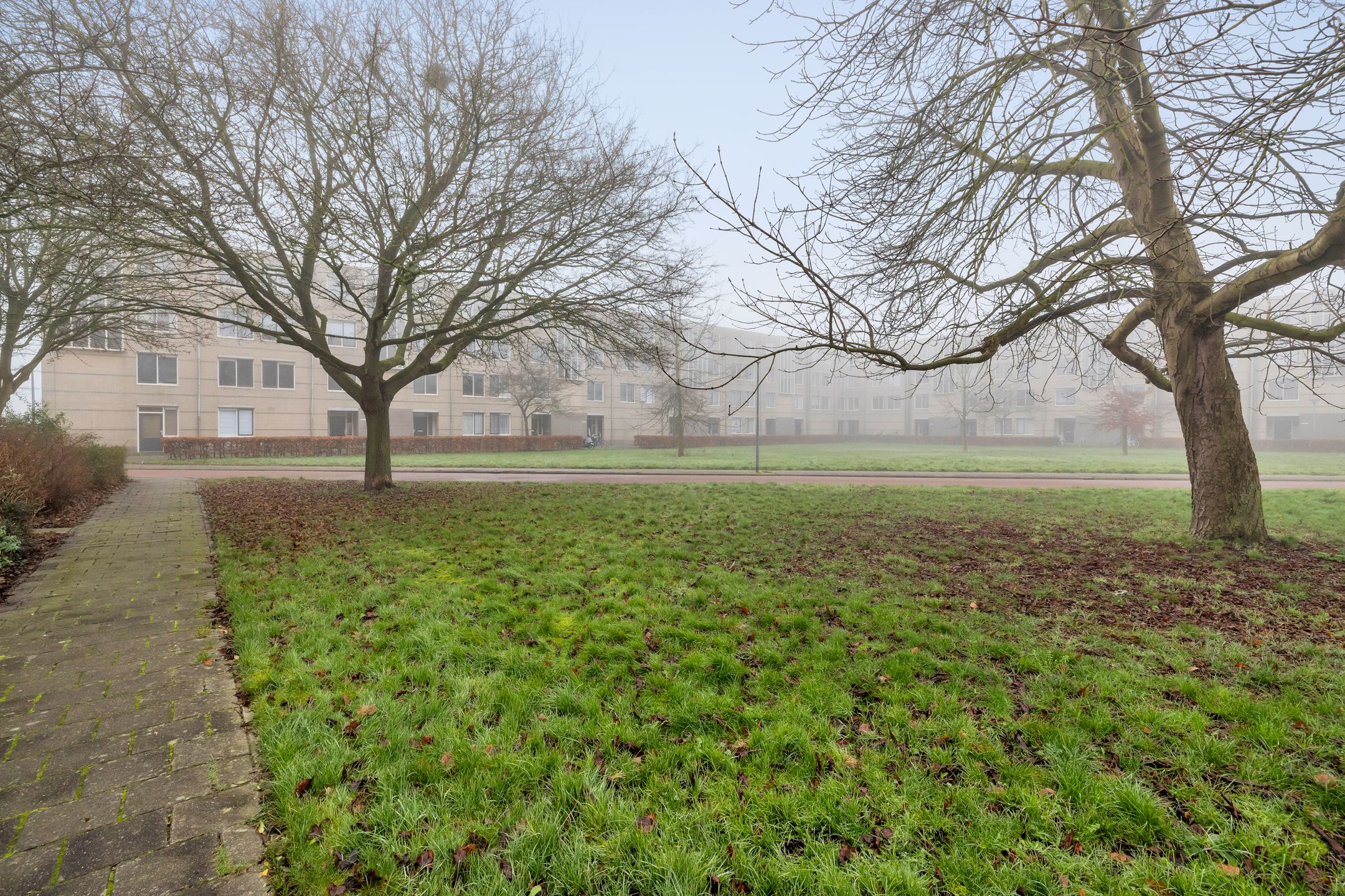 Foto 3 van J.T.P. Bijhouwerhof 117