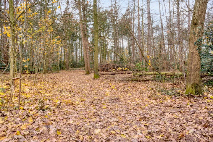 Foto 47 van Provencehof 16