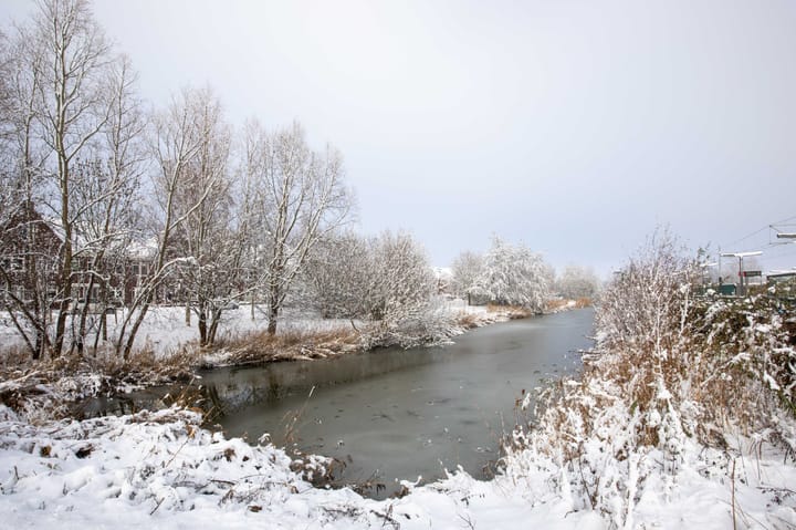 Photo 46 of Faunalaan 37