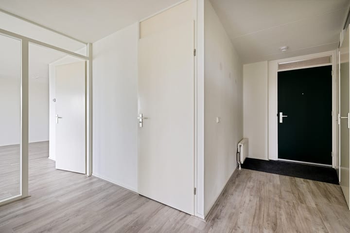 Foto 8 van de Warring 32