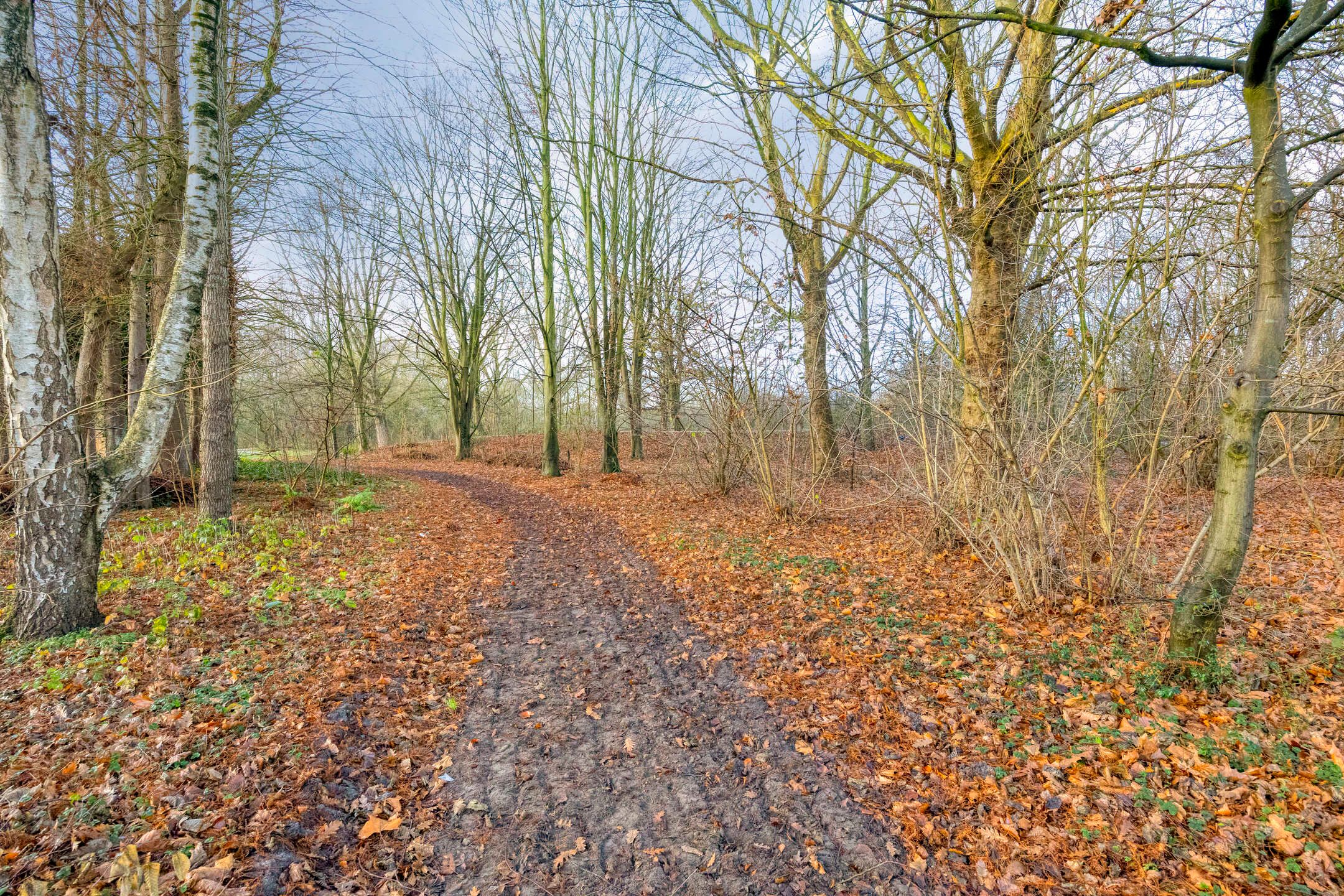 Foto 27 van Kastanjelaan 14-D