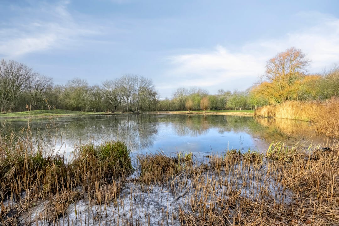 Foto 28 van Kastanjelaan 14-D