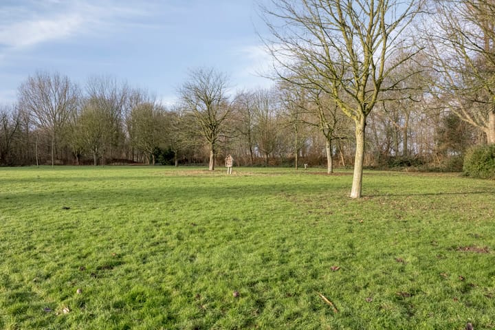 Photo 29 of Kastanjelaan 14-D