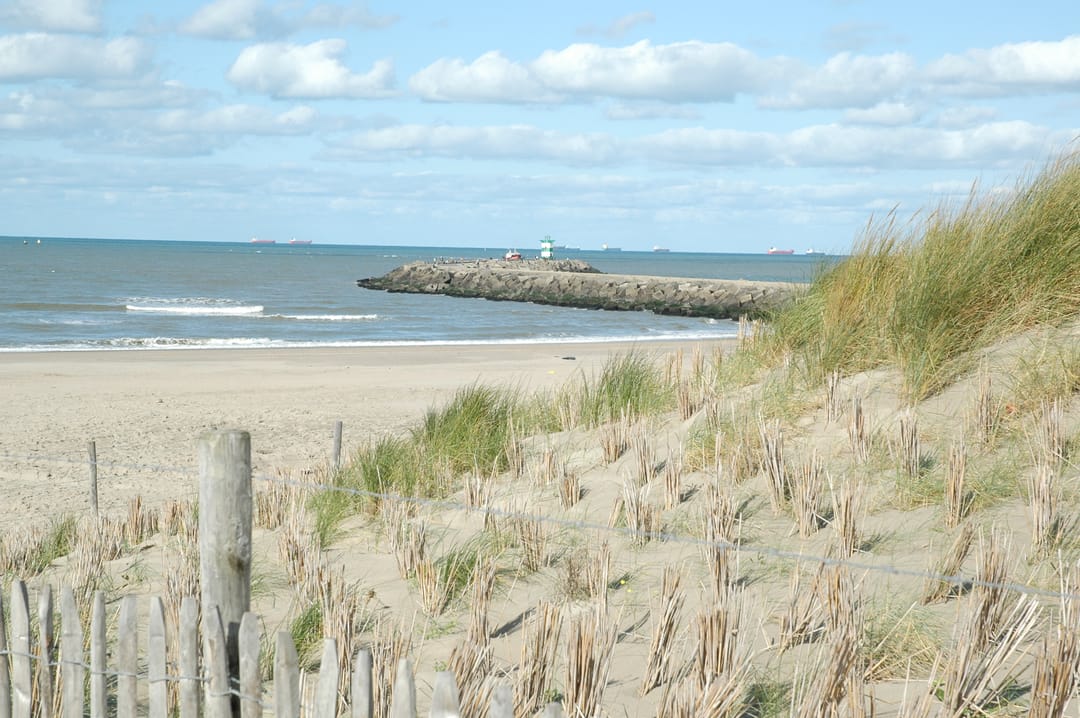 Photo 32 of Westduinweg 46-D