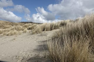 Photo 31 of Westduinweg 46-D