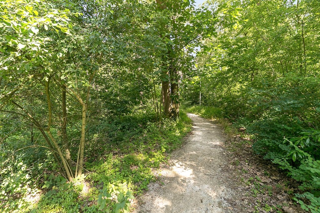 Foto 19 van Paviljoenplein 6