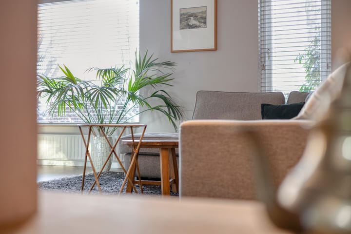 Foto 10 van De Vlos 35