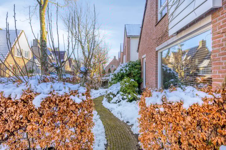 Foto 54 van De Vlos 35