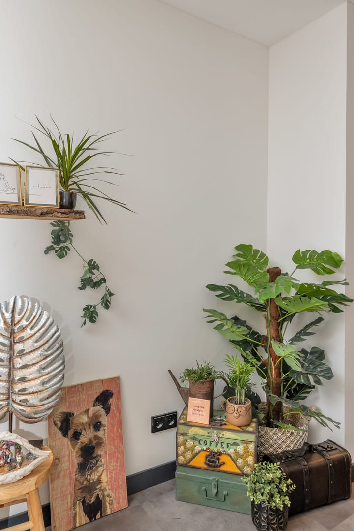 Foto 14 van Kerkstraat 25-A