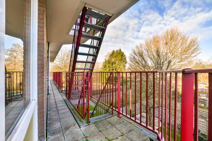 Foto 17 van Pluimgras 8