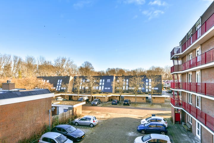 Foto 18 van Pluimgras 8